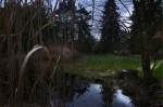 jardin-picard