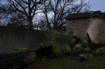 mosses-in-a-farm-near-parthenay