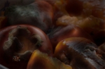 fruits déconfits