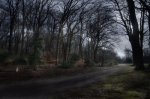 The path - Le sentier, France, winter 2011