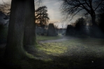 Mosses - Mousses, 2012