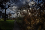 fall-at-the-bois-de