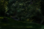 le-chemin-dans-les-arbres-the-way-in-the-trees