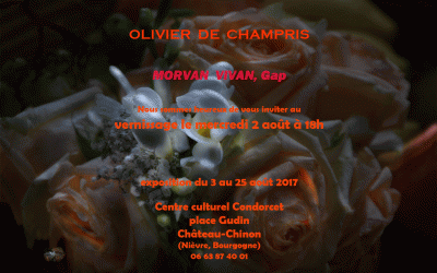 Morvan vivan, Gap